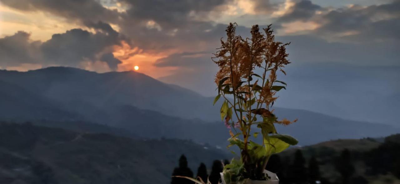 Valley View Homestay Darjeeling  Ngoại thất bức ảnh