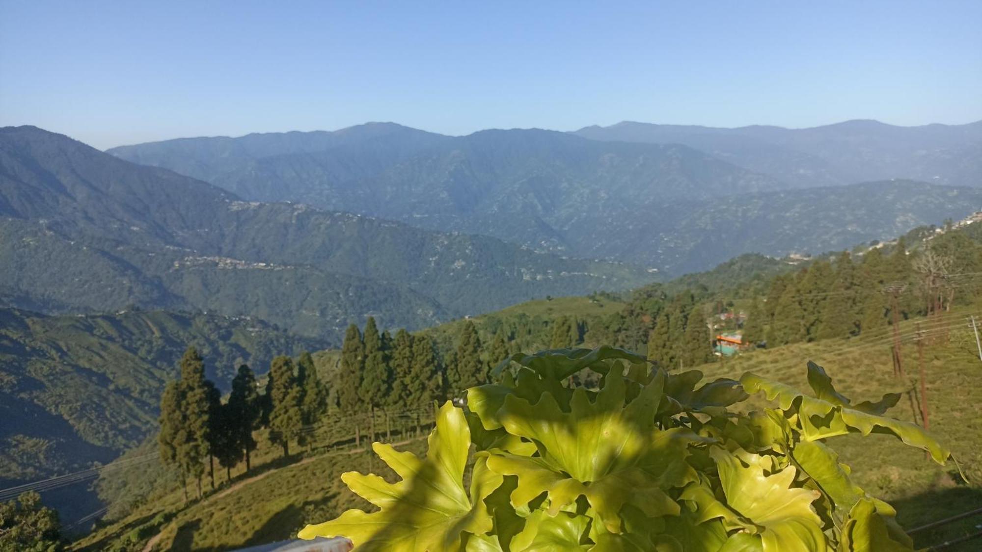 Valley View Homestay Darjeeling  Ngoại thất bức ảnh